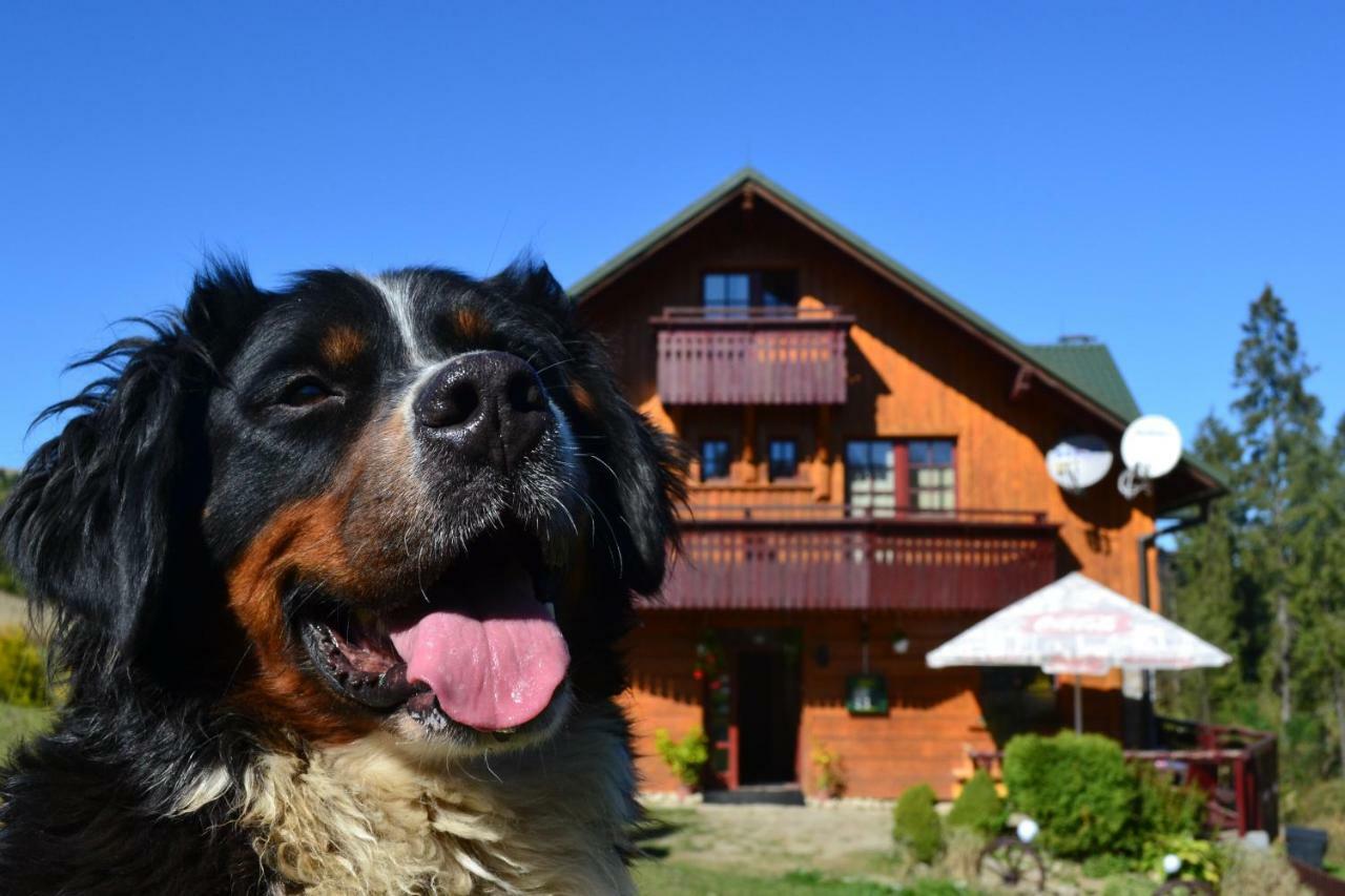 Penzion Dinda Stará ľubovňa Екстериор снимка